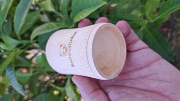 Bambus Zahnputzbecher | bambusliebe | 100% Naturprodukt |  gesundheit-wellness-leben.de